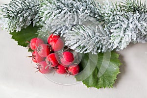 Christmas Tree and Decorations over Snow background