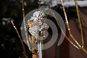 Christmas tree decorations and toys for fir trees covered with snow and ice. Close-up. Happy New Year and Merry Christmas.