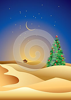 Christmas tree in desert