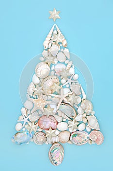 Christmas Tree Design with Seashells and Stars