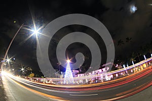 Christmas Tree displayed at Honolulu Hale