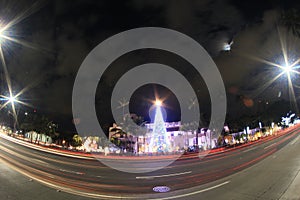 Christmas Tree displayed at Honolulu Hale