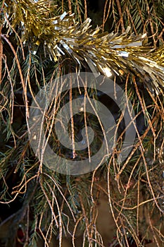 Christmas tree with fallen pine needles 1