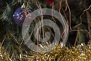Christmas tree with fallen pine needles 3