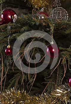 Christmas tree with fallen pine needles 4