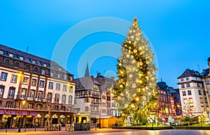 Christmas tree on Place Kleber in Strasbourg, France