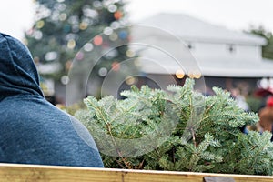 Christmas tree farm in illinois