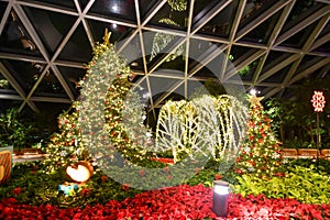 Christmas Tree and Festive Decorations at Jewel Changi Airport