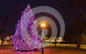 Christmas tree and festive light pole at night time