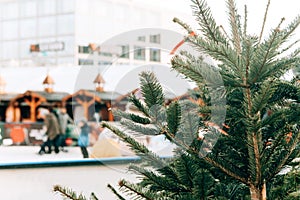 Christmas tree or fir branches in the foreground. The skating rink in Berlin in Alexanderplatz is blurred in the