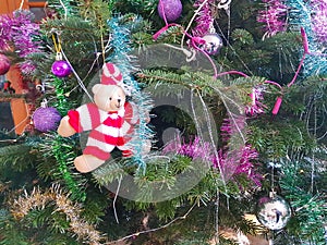 Christmas tree and folks