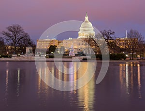 Christmas tree in front of Capitol Washington DC