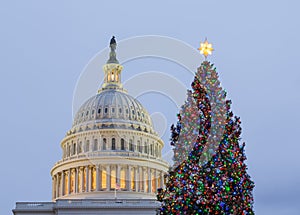 Christmas tree in front of Capitol Washington DC