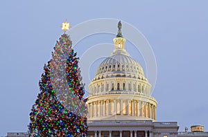 Christmas tree in front of Capitol Washington DC