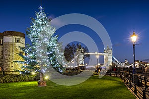 Christmas tree in front of the iconic Tower Bridge in London