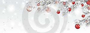 Frozen Twigs Sun Glitter Deco Red Baubles Snowfall Header