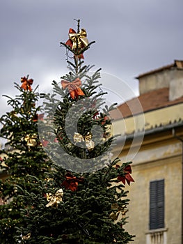 christmas tree, gifts in my town