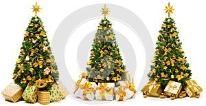 Christmas Tree with Golden Ornaments and Gifts Isolated over White Background, Set of Green Xmas Tree with Present Boxes