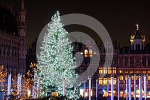 Christmas tree in Grand Place, Brussels, Belgium