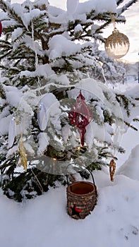 Christmas tree great outdoor