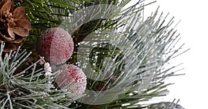 Christmas tree. Green pine twigs covered with snow and decorated with red berries and a cone. Close up shot. Isolated on white