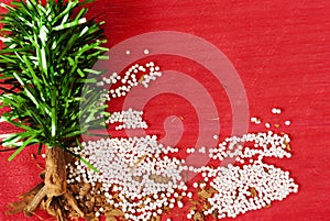 Christmas tree handmade with artificial leaves, cinnamon and tapioca grains