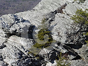 Christmas Tree on Hanging Rock