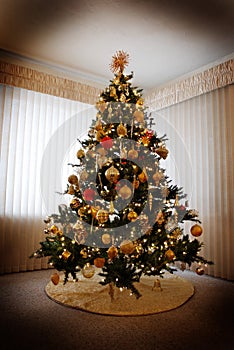 Christmas Tree in House Holidays Decorations
