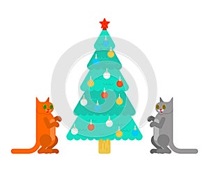 Christmas tree hypnotized cat. Eyes were spiraling. vector illustration
