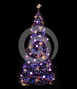 Christmas Tree Illuminated photo