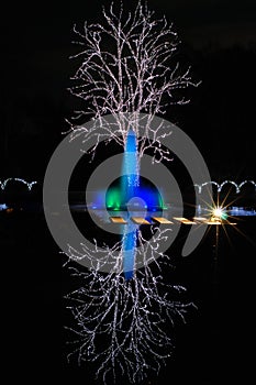 Christmas tree and illuminated fountain at night