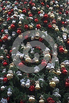 Christmas tree illuminated at the night against dark blue sky