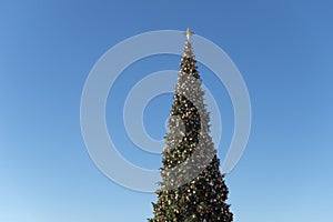 Christmas tree illuminated at the night against dark blue sky