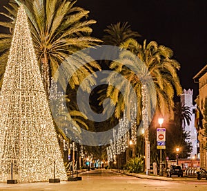 Christmas tree and illuminated palm trees in city cente of Palma de Majorca, Spain