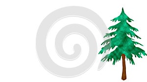 Christmas tree isolate on white background