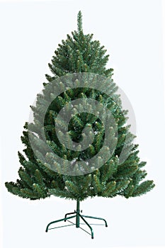 Christmas tree, isolated