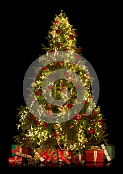 Christmas tree isolated on black