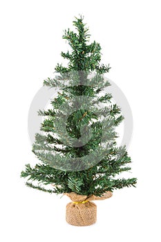 Christmas tree isolated at white