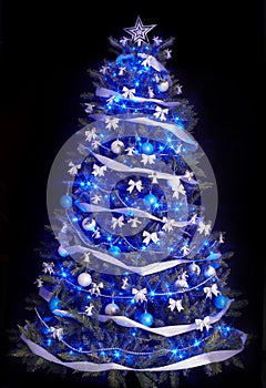 Albero di natale la luce un blu stella 