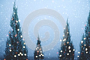 Christmas tree and light bokeh with snowfall on sky background in winter.