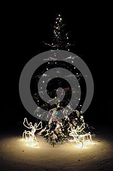 Christmas tree with lights and deers at night