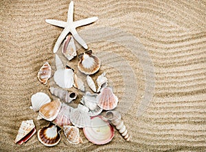 Christmas tree lined with different shells on the sea sand