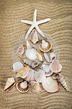 Christmas tree lined with different shells on the sea sand