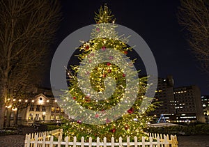 Christmas Tree in London