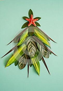 Christmas tree made of green leaves of tropical plants and red starfish on a light green background.