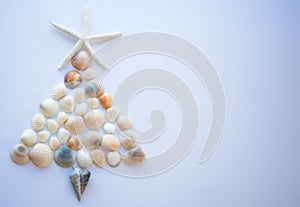 Christmas tree made from sea shells.