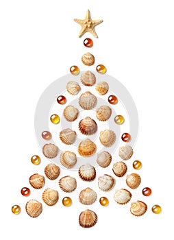 Christmas tree made of seashells, starfish and glass beads. Isolated on white background