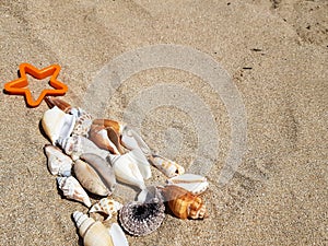 A Christmas tree made of shells is laid out on the sand and crowned with a star on top. christmas background for