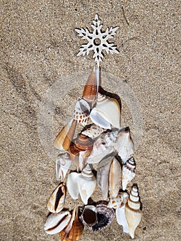 A Christmas tree made of shells is laid out on the sand and crowned with a star on top. christmas background for
