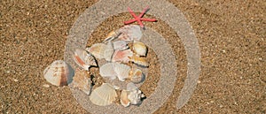 Christmas tree made of shells in the sand. Selective focus